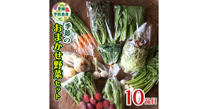 【ふるさと納税】 季節のおまかせ 野菜 セット オオシマ農園 小分け 季節 お任せ 食べ比べ 旬野菜 旬 詰め合わせ 季節限定 季節野菜 フレッシュ 農家直送 産地直送 数量限定 国産 愛媛 宇和島 F010-131001