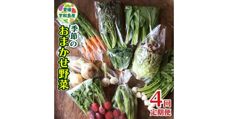 【ふるさと納税】 季節のおまかせ 野菜 定期便 セット オオシマ農園 小分け 季節 お任せ 食べ比べ 旬野菜 旬 詰め合わせ 季節限定 季節野菜 フレッシュ 農家直送 産地直送 数量限定 国産 愛媛 宇和島 F040-131003