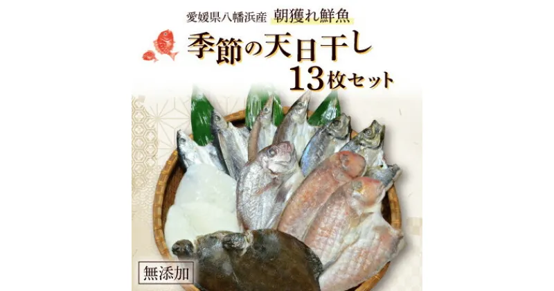 【ふるさと納税】無添加・天日干しピチピチ朝獲れ鮮魚の一夜干し13枚セット【H26-4】【配送不可地域：離島】【1044325】