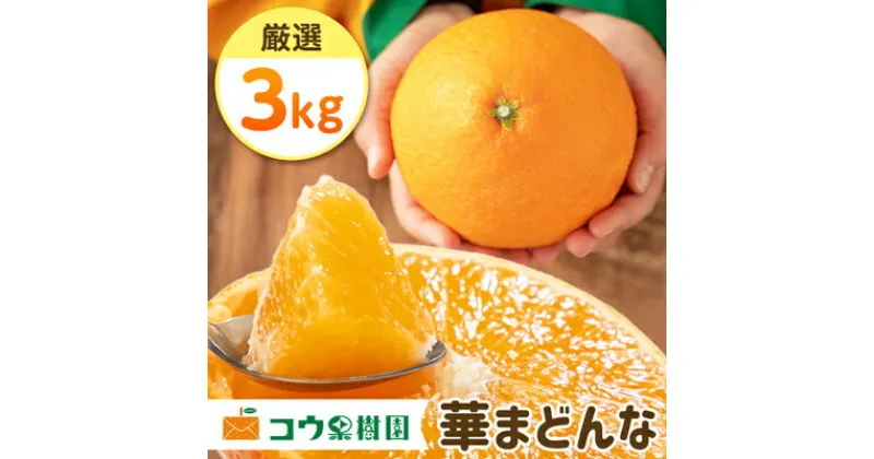 【ふるさと納税】コウ果樹園の「厳選　華まどんな」3kg【D33-8】_ みかん 蜜柑 ミカン 柑橘類 柑橘 フルーツ くだもの 果物 人気 美味しい 愛媛県 八幡浜市 ふるさと 【1056129】