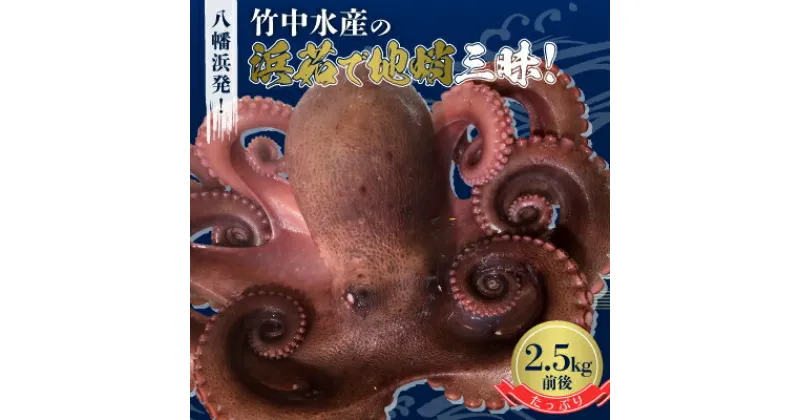 【ふるさと納税】 八幡浜発! 竹中水産のたっぷり「浜茹で地蛸」三昧! たっぷり 2.5kg 前後 【H22-190】_ たこ タコ 蛸 海鮮 魚介 刺身 八幡浜 送料無料 【配送不可地域：離島】【1043153】