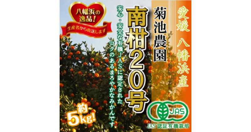 【ふるさと納税】2024年12月発送開始【JAS認証有機栽培】濃厚!菊池農園「南柑20号」5kg【C39-23】_ みかん ミカン 柑橘 温州 果物 くだもの フルーツ 旬 愛媛 コク 甘み 国産 産直 産地直送 JAS 有機 有機栽培 JAS認証 果汁 ジューシー 【1044610】