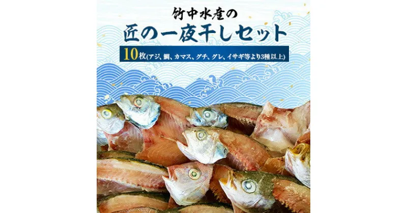 【ふるさと納税】竹中水産の匠の一夜干し10枚セット! 【C22-226】_ 一夜干し 天日干し 干物 ひもの 天然 食べ比べ 詰合せ セット 魚介 魚介類 海鮮 冷凍 愛媛 八幡浜 産直 産地直送 国産 おかず おつまみ 【配送不可地域：離島】【1054228】