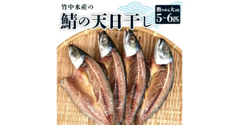 【ふるさと納税】竹中水産の「鯖の天日干し」脂のある大き目を5～6匹ご用意!【C22-265】【配送不可地域：離島】【1078741】