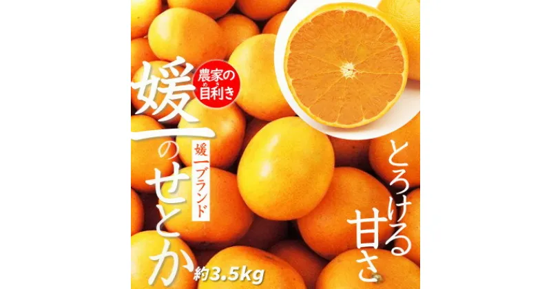 【ふるさと納税】 愛媛 の 高級 柑橘 の代名詞!「 せとか 」 約 3.5kg 入【C28-18】 _ みかん 蜜柑 ミカン 柑橘 かんきつ 国産 愛媛 愛媛みかん せとかみかん フルーツ 果物 くだもの 送料無料 高級 家庭用 箱 【配送不可地域：離島】【1046129】