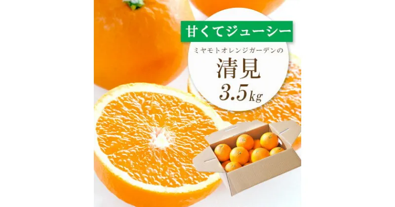 【ふるさと納税】【2025年4月上旬以降発送】果汁たっぷり ジューシー清見3.5kg【C25-129】_ みかん ミカン オレンジ 清見 きよみ 愛媛県 フルーツ 果物 くだもの 柑橘 かんきつ 人気 産地直送 産直 ジューシー 甘い 果汁 糖度 タンゴール 贈答 ギフト 柑橘類 【1044409】