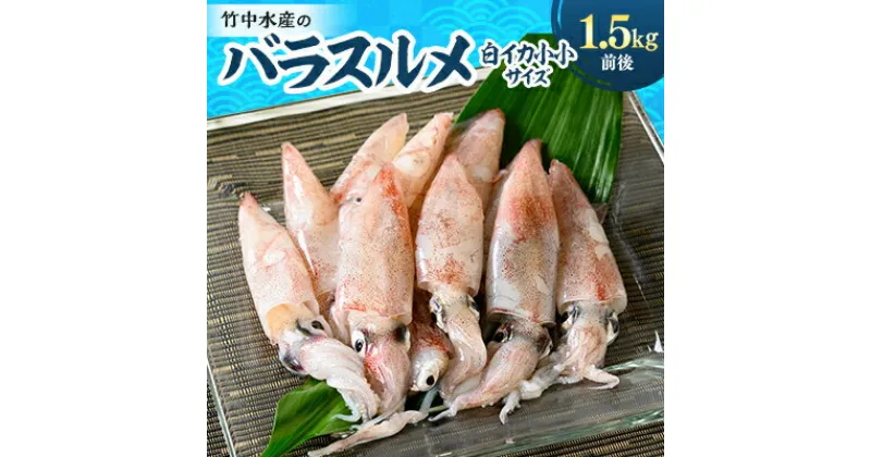 【ふるさと納税】竹中水産のバラスルメ(白イカの小小サイズ)1.5kg【C22-271】_ いか イカ スルメイカ するめいか バラスルメ 烏賊 魚介 魚介類 海鮮 鮮魚 冷凍 BBQ 簡単調理 愛媛 八幡浜 小サイズ ミニ 【配送不可地域：離島】【1115289】