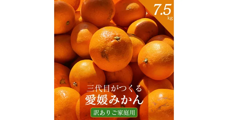 【ふるさと納税】三代目がつくる 愛媛 みかん 7.5kg【 訳あり ( 家庭用 )】【C31-17】_ ミカン 蜜柑 柑橘類 柑橘 フルーツ 果物 くだもの 訳アリ わけあり ご家庭用 人気 美味しい 愛媛県 八幡浜市 ふるさと 【1120067】