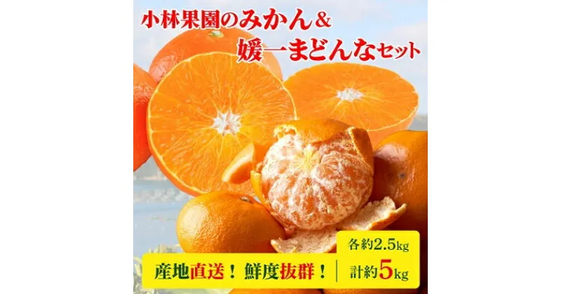 【ふるさと納税】小林果園の みかん & 媛一まどんな セット (各約2.5kg入)【C24-17】_ 蜜柑 ミカン オレンジ フルーツ 果物 くだもの 人気 美味しい 愛媛県 八幡浜 ふるさと 温州みかん 柑橘類 柑橘 【1124423】