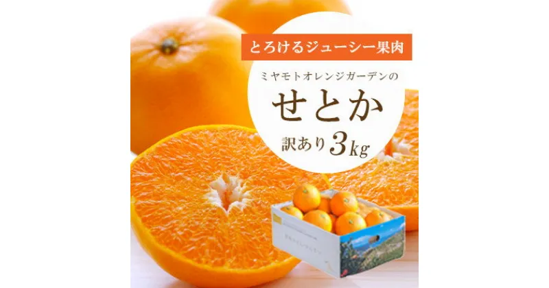 【ふるさと納税】【2025年2月以降発送】とろける濃厚柑橘 せとか3kg 愛媛県八幡浜産【訳あり】【C25-134】_ みかん ミカン 蜜柑 柑橘類 柑橘 フルーツ 果物 くだもの 愛媛県 八幡浜市 人気 美味しい ふるさと 【1128816】