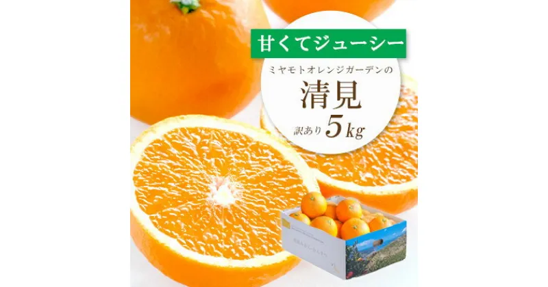 【ふるさと納税】【2025年4月上旬出荷】果汁たっぷり ジューシー清見5kg(訳あり)【C25-138】_ 清見 きよみ 柑橘 かんきつ オレンジ みかん フルーツ 果物 くだもの ふるーつ 産地直送 国産 送料無料 限定 甘い ジューシー 果汁 【1138006】