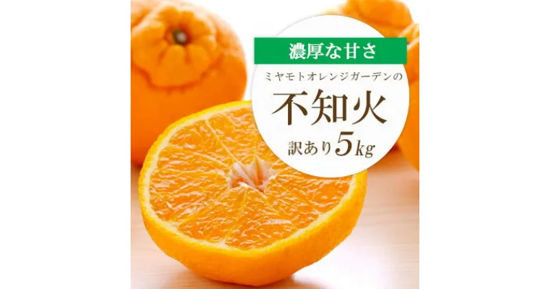 【ふるさと納税】【2025年2月以降発送】デコポンと同品種 濃厚柑橘 不知火5kg【訳あり】【C25-139】_ 訳アリ みかん ミカン しらぬい 愛媛県 フルーツ 果物 くだもの 柑橘 かんきつ 人気 産地直送 産直 ジューシー 甘い 果汁 糖度 甘い 人気 家庭用 大玉 小玉 【1138007】