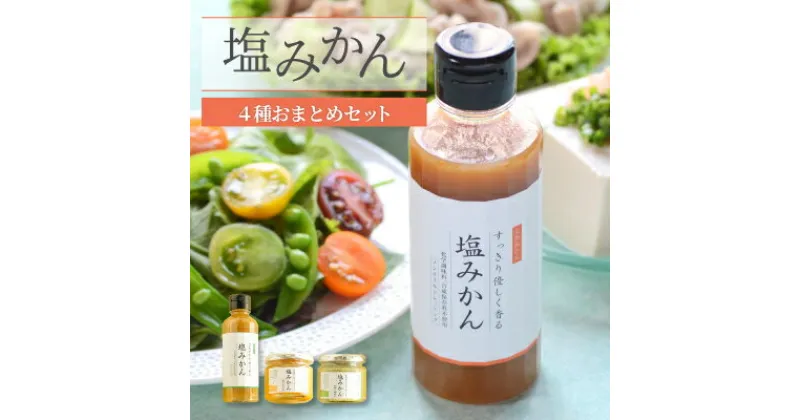 【ふるさと納税】みかんがふわっと香るワンランク上のお料理に!愛媛の新しい調味料 塩みかん4種セット【C25-65】【1228227】