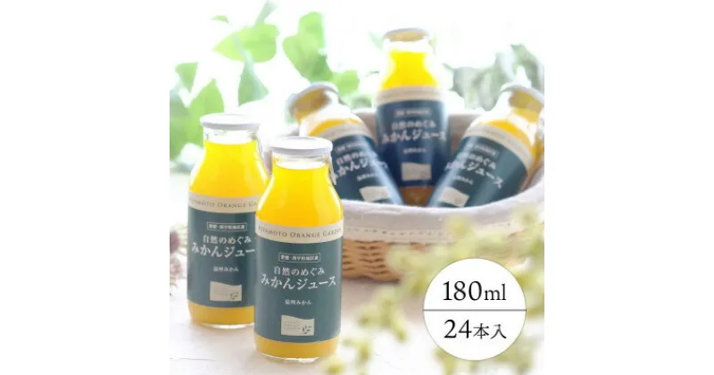 【ふるさと納税】愛媛産100%ストレート 自然のめぐみ みかんジュース180ml×24本【F25-73】_ ジュース みかんジュース ミカンジュース ストレート 100% セット みかん ミカン 柑橘 フルーツ 果物 くだもの 愛媛 ギフト 贈答 産直 産地直送 国産 【1231095】