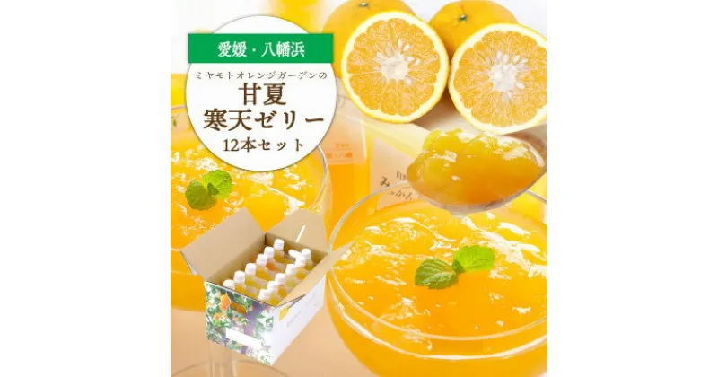 【ふるさと納税】ほろ苦く甘酸っぱいさわやかな味わい 愛媛産 甘夏寒天ゼリー12本セット【D25-17】【1255524】