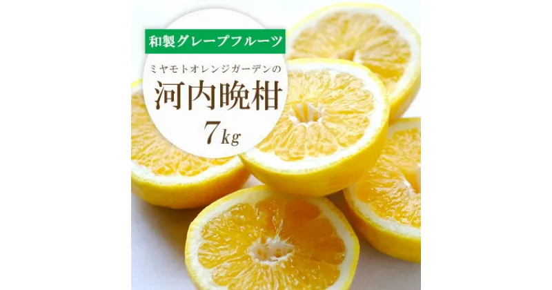 【ふるさと納税】【2025年4月下旬頃出荷】さっぱり爽やか 和製グレープフルーツ 河内晩柑7kg【D25-13】_ みかん ミカン 柑橘 フルーツ 果物 くだもの 青果 河内晩柑 晩柑 愛媛 ギフト 贈答 産直 産地直送 国産 和製グレープフルーツ 旬 希少 【1268372】