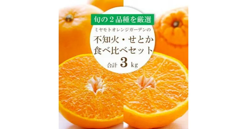 【ふるさと納税】愛媛の人気2品種をセットに!せとか・不知火 食べ比べ 合計3kg【訳あり】【C25-141】_ 訳あり わけあり みかん ミカン せとか 不知火 食べ比べ セット 柑橘 フルーツ ふるーつ 果物 くだもの 果実 青果 ジューシー 甘い 贈答 ギフト 愛媛 旬 【1283421】