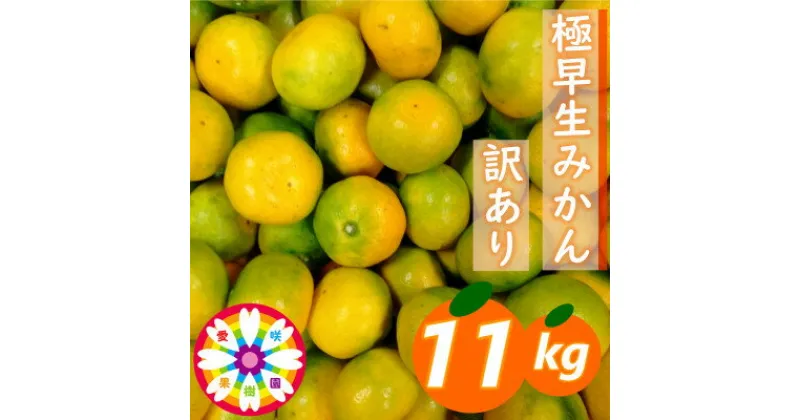 【ふるさと納税】「 極早生 みかん 」 訳あり 約11kg《 愛咲果樹園 》【C71-4】_ 訳アリ わけあり ワケアリミカン みかん フルーツ 果物 くだもの 早生 人気 柑橘 かんきつ 不揃い 規格外 傷 愛媛 旬 産地直送 産直 季節限定 【配送不可地域：離島】【1326992】