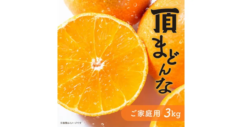 【ふるさと納税】紅まどんなと同じ品種《頂まどんな》ご家庭用 3kg 【C31-22】_ みかん 蜜柑 ミカン フルーツ くだもの 果物 人気 美味しい 愛媛県 八幡浜市 家庭用 ふるさと 柑橘類 柑橘 【1329228】