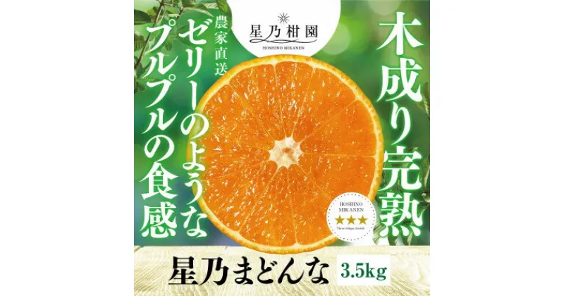 【ふるさと納税】星乃みかん園の 星乃まどんな (3.5kg)【E45-63】_ ミカン 蜜柑 みかん マドンナ 紅まどんな フルーツ 果物 くだもの 柑橘 柑橘類 人気 美味しい 愛媛県 八幡浜市 ふるさと 【1339327】