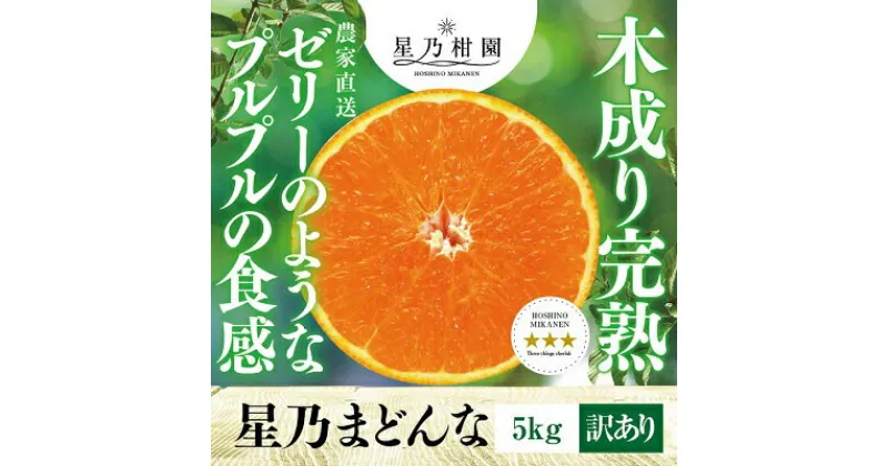 【ふるさと納税】【三つ星ブランド】2024年先行予約 星乃みかん園の 星乃まどんな(5kg)【D45-62】_ 先行予約 みかん 愛媛ミカン オレンジ 不揃い フルーツ 果物 くだもの マドンナ 西宇和 高級 柑橘類 お取り寄せ 食品 グルメ 【1339328】
