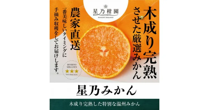 【ふるさと納税】星乃みかん園のみかん(5kg)【C45-55】【1339340】