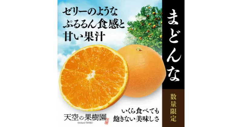 【ふるさと納税】天空の果樹園から届く そらまどんな(3.5kg)【E45-32】【1339398】