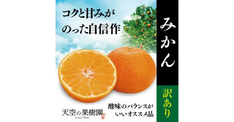 【ふるさと納税】【 訳あり 】 天空 の 果樹園 から届く そら みかん ( 10kg )【C45-28】【1339407】