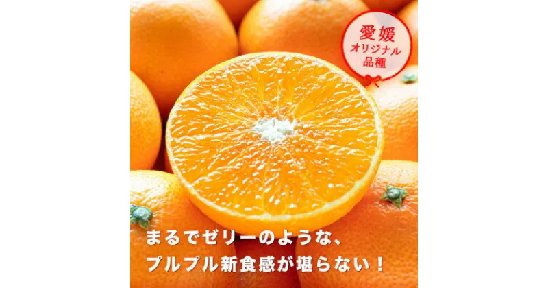 【ふるさと納税】 産地直送 国安さんちの 愛媛まどんな 贈答用 約 5kg 【F20-31】_ みかん ミカン 蜜柑 柑橘 柑橘類 マドンナ 紅まどんな フルーツ 果物 くだもの 人気 美味しい 愛媛県 八幡浜市 ふるさと 【1340000】