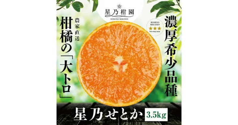 【ふるさと納税】星乃みかん園の星乃せとか(3.5kg)【E45-43】_ セトカ みかん 蜜柑 ミカン フルーツ 果物 くだもの 柑橘類 柑橘 人気 美味しい 愛媛県 八幡浜市 ふるさと 【1339332】