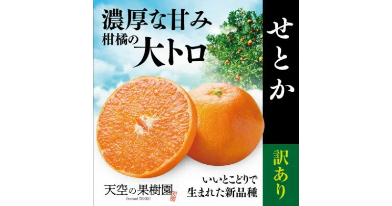 【ふるさと納税】【訳あり】天空の果樹園から届くそらせとか (5kg)【C45-38】【1339378】