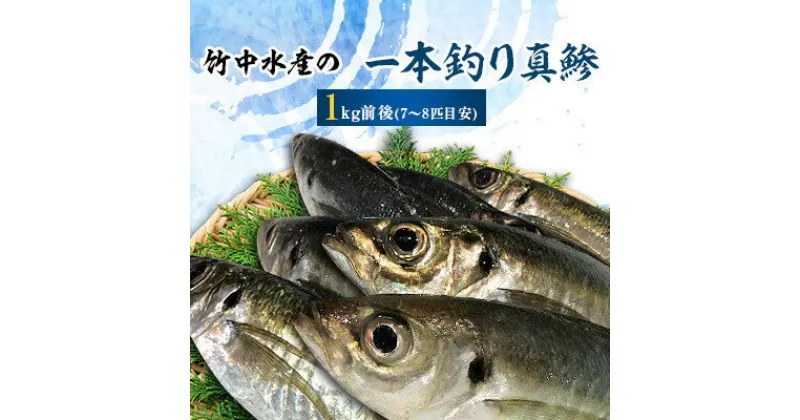 【ふるさと納税】竹中水産の一本釣り真鯵!1キロ前後【C22-238】【配送不可地域：離島・北海道・沖縄県・東北・関東・信越、北陸・東海・九州】【1073399】