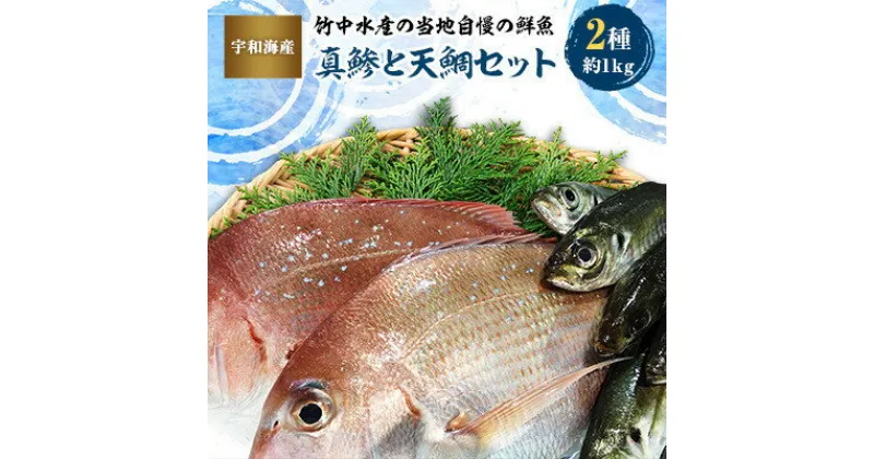 【ふるさと納税】竹中水産の当地自慢の鮮魚2種「真鯵と天鯛」!約1キロセット!(宇和海産)【C22-255】【配送不可地域：離島・北海道・沖縄県】【1073912】