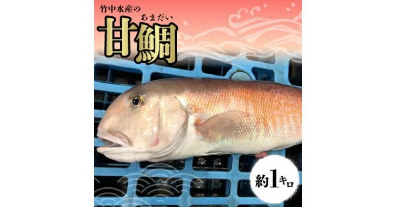 【ふるさと納税】 甘鯛 ( 赤 又は 白 ) 約 1kg 刺身 竹中水産 アマダイ 鯛 タイ たい ギフト プレゼント 贈り物 送料無料 【D22-260】【配送不可地域：離島・北海道・沖縄県】【1075512】