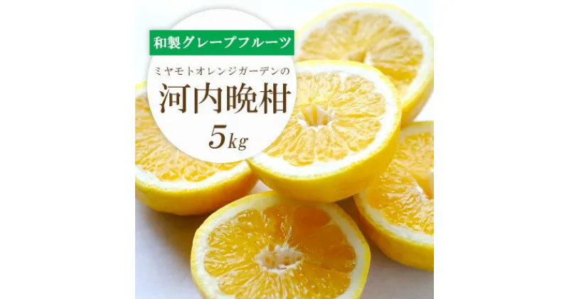 【ふるさと納税】【2025年4月下旬頃出荷】苦味の少ない和製グレープフルーツ 河内晩柑 5kg【C25-130】_ 晩柑 グレープフルーツ 愛媛県 フルーツ 果物 くだもの 柑橘 かんきつ 人気 産地直送 産直 ジューシー 甘い 果汁 糖度 濃厚 【1151744】