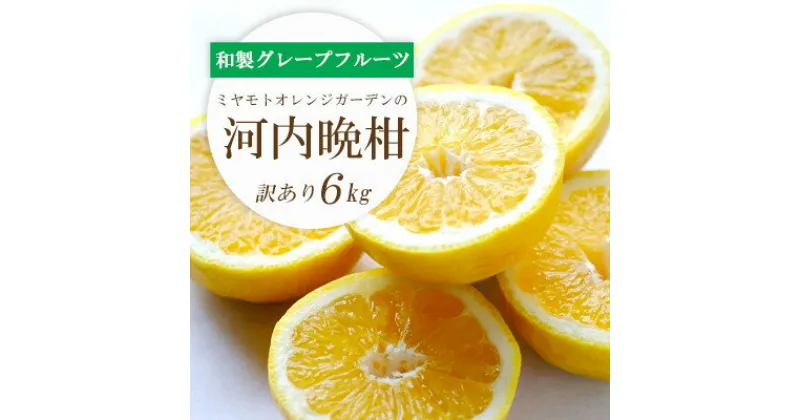 【ふるさと納税】【2025年4月下旬】苦味の少ない和製グレープフルーツ 河内晩柑6kg(訳あり)【C25-136】_ みかん ミカン 河内晩柑 晩柑 柑橘 フルーツ ふるーつ 果物 くだもの 果実 青果 ジューシー 甘い 贈答 ギフト 愛媛 旬 和製グレープフルーツ 送料無料 【1151745】