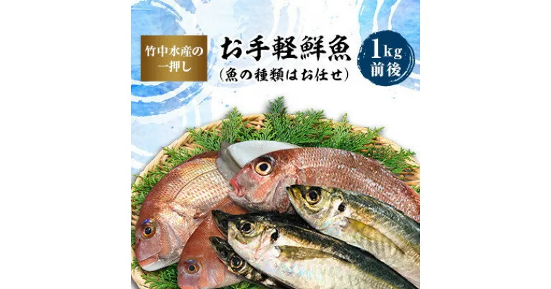 【ふるさと納税】竹中水産の一押し「お手軽鮮魚」1キロ前後【C22-235】【配送不可地域：離島、北海道、沖縄県】【1073396】