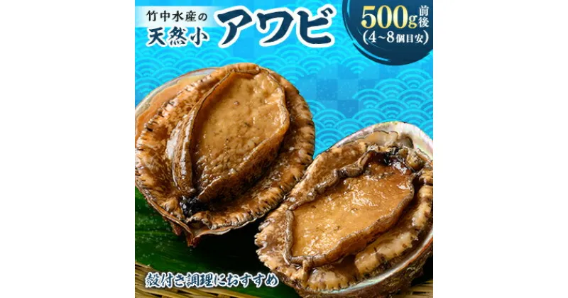 【ふるさと納税】竹中水産の天然小アワビ、殻付きのままでバター焼き500g前後(4～8個目安)【D22-246】_ 鮑 あわび アワビ 活きあわび 魚介 魚介類 海鮮 天然 活き 鮮魚 小ぶり 食べやすい バター焼き 冷蔵 BBQ 殻付 【配送不可地域：離島・北海道・沖縄県】【1073903】