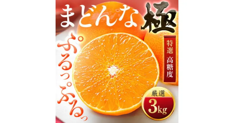 【ふるさと納税】【夕やけブランド】ぷるぷる食感【まどんな】3kg　※紅まどんなと同品種　【C49-22】_ マドンナ みかん ミカン 愛媛県 国産 フルーツ 果物 くだもの 柑橘 かんきつ ギフト 贈答 人気 限定 産地直送 産直 ジューシー 甘い 果汁 糖度 大玉 極 特選 【1416588】