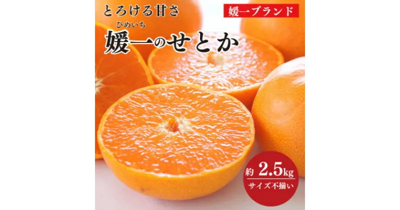 【ふるさと納税】愛媛の柑橘の代名詞!「せとか」約2.5kg入【C28-40】【1437356】