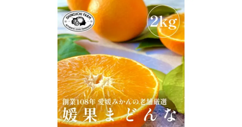 【ふるさと納税】創業百八年 愛媛みかんの老舗【媛果まどんな2kg】紅まどんなと同品種 新口農園【C70-6】【1440808】