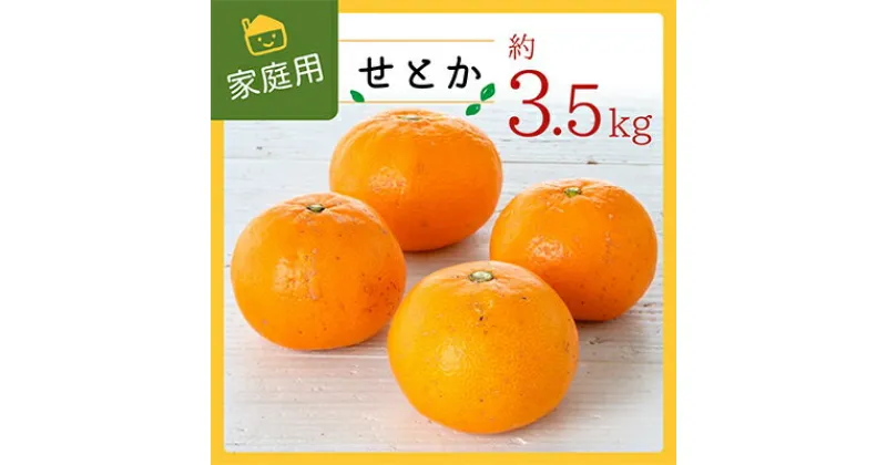 【ふるさと納税】コウ果樹園の家庭用【せとか】3.5kg【C33-31】_ 訳あり 訳アリ みかん ミカン 愛媛県 フルーツ 果物 くだもの 柑橘 かんきつ 人気 産地直送 産直 ジューシー 甘い 果汁 糖度 規格外 濃厚 家庭用 セトカ 【1441231】