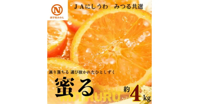 【ふるさと納税】JAにしうわの季節の柑橘(みつる共選「蜜る」約4kg)【C08-48】【1443355】