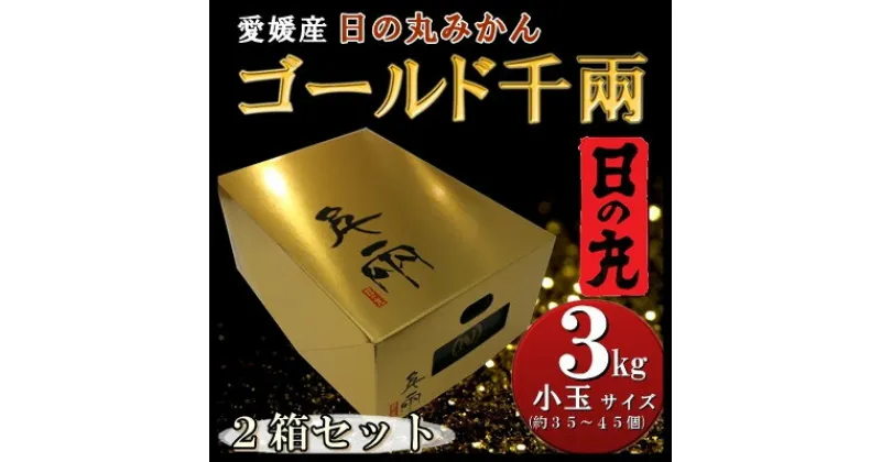 【ふるさと納税】日の丸みかん「ゴールド千兩」3kgサイズSまたは2S/約35～45個/2箱/光センサー【F79-5】_ みかん ミカン 柑橘 くだもの 果物 フルーツ 温州 コク 濃厚 甘い 贈答 ギフト プレゼント 3kg 小玉 常温 デザート 産地直送 産直 【1452027】