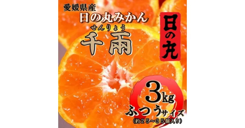 【ふるさと納税】日の丸みかん「千兩」3kg　約25～35個/LまたはMサイズ/光センサー使用【C79-6】【1452029】