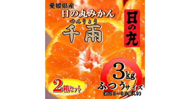 【ふるさと納税】日の丸みかん「千兩」3kg　約25～35個/L・Mサイズ/2箱セット/光センサー使用【E79-7】_ みかん ミカン 柑橘 くだもの 果物 フルーツ 温州 コク 濃厚 甘い 贈答 ギフト プレゼント 3kg 小玉 常温 デザート 産地直送 産直 2箱 セット 【1452030】