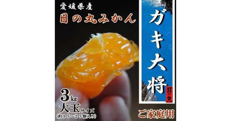 【ふるさと納税】果汁しっかり自然の恵み!「ガキ大将」3kg(大玉サイズ)日の丸みかん/ご家庭用【C79-11】【1452034】