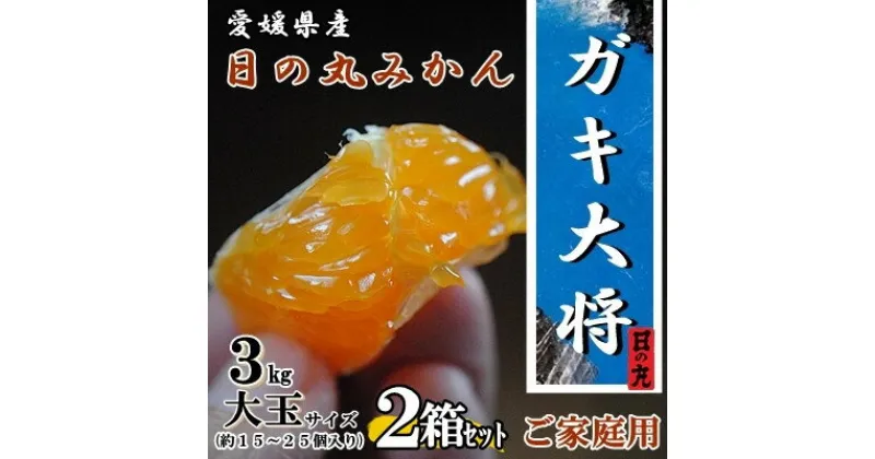 【ふるさと納税】自然の恵み!「ガキ大将」3kg(大玉サイズ)日の丸みかん/2箱セット/ご家庭用【D79-12】【1452035】