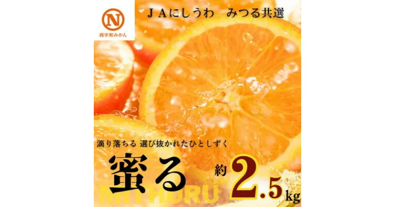 【ふるさと納税】JAにしうわの季節の柑橘(みつる共選「蜜る」約2.5kg)【C08-74】【1447980】