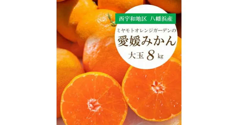 【ふるさと納税】西宇和地区八幡浜産 愛媛みかん 大玉8kg【訳あり】ミヤモトオレンジガーデン【C25-142】_ みかん ミカン 柑橘 フルーツ ふるーつ 果物 くだもの 青果 ワケアリ 訳あり 訳アリ 甘い 人気 大玉 愛媛 規格外 傷 不揃い 産直 産地直送 【1166254】